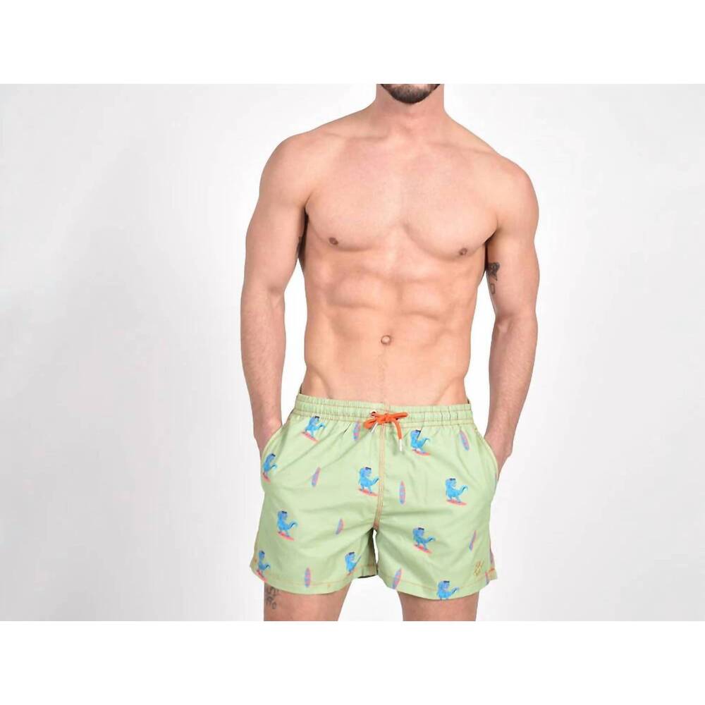NEW EIGHT X surfing t-rex print swim trunks in green